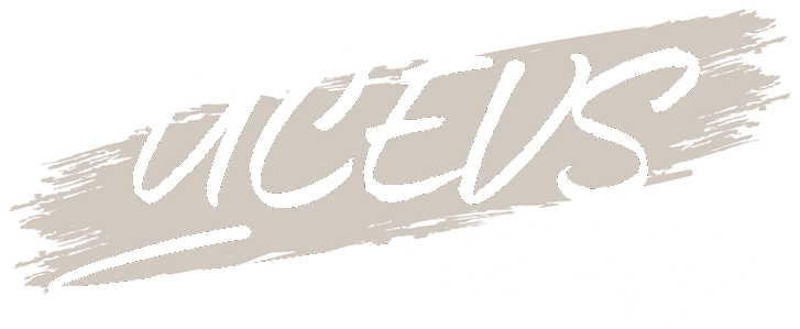 UCEVS účetní služby